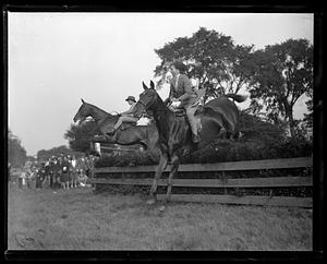 Horse jumping