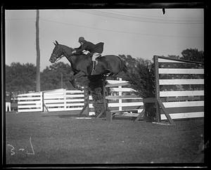 Horse jumping