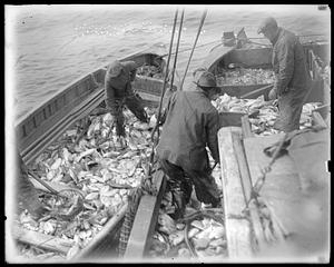 Fishermen in their boats with their catch