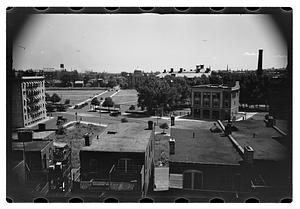 Black Forest and views from roof - Gertrude Sands