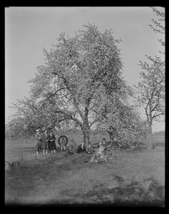 Sudbury Department, tree, with tire swing, Southborough?, Mass., May 8, 1927