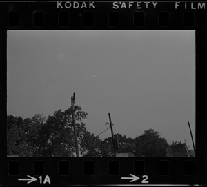 Utility poles and treetops in Franklin Park during rally