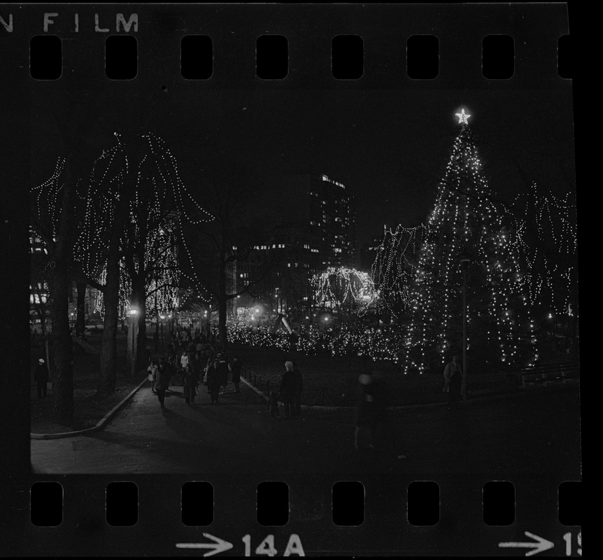 Thousands of shoppers began converging on picturesque Boston Common last night shortly after some 60,000 Christmas lights were illuminated by Mayor White, officially marking the opening of the 21st annual Christmas Festival