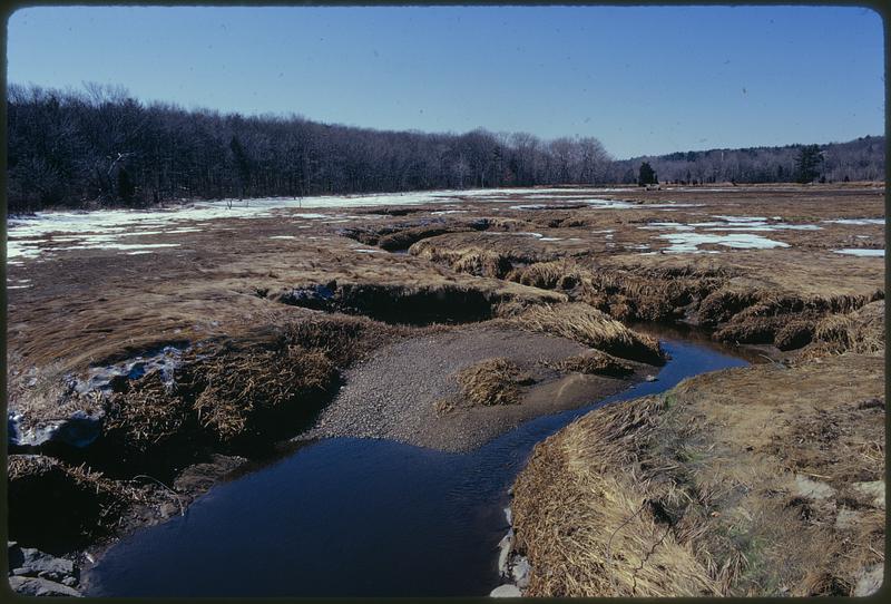 North River Marshes, Scituate Mass.