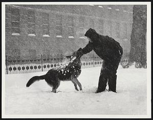 Mr. Jim Sawaya with dog Max of South Boston