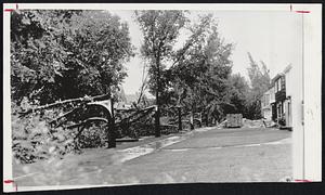 Winds Mow Trees - Fallen trees litter a Milwaukee residential area in the wake of high winds which swept most of Wisconsin. Stack of bricks before unfinished house was undisturbed.