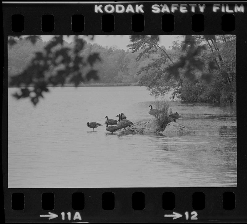 West Newbury Indian Hill Reservoir Digital Commonwealth 8988