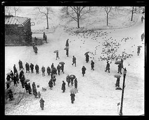 Boston Common in winter
