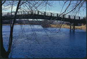 Footbridge above Falls