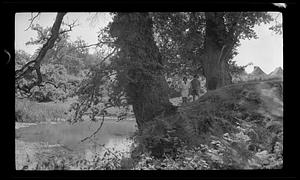 Two women walking in nature