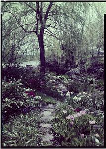 Marblehead, Batchelder's flower garden, spring