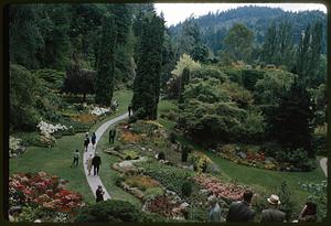 View from above of people walking on garden path in forest setting, British Columbia