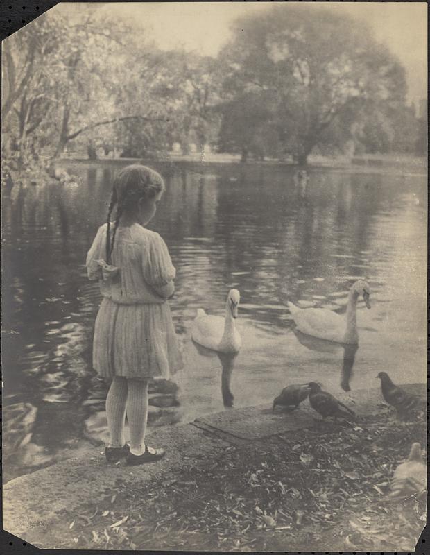 Public Garden, Boston