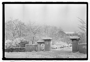 Snow covered street and trees