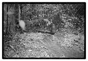 Pipe
