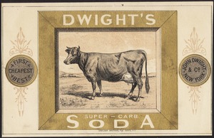 Dwight's super-carb. soda