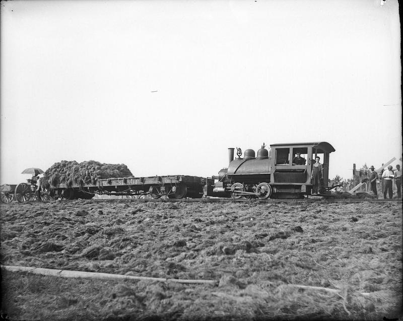 Small locomotive with car of dried hemp, with woman engineer