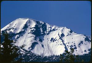 Snow-covered mountain rising above trees, British Columbia