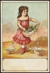 Girl holding an apron full of flowers with three geese around her.