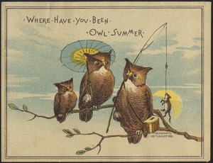 Where have you been owl summer.