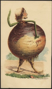 Man's head on a turnip's body.