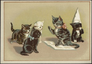 Five cats, one sitting with a dunce cap while one reads from a book to the other three.