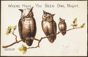 Where have you been owl night.