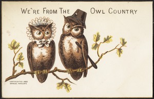 We're from the owl country.
