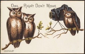 Owl right don't move.