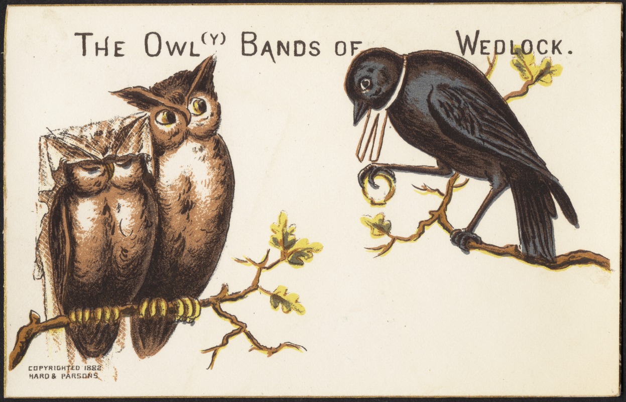 The owl(y) bands of wedlock. - Digital Commonwealth