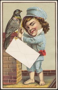 Boy tying a blank envelope to a bird.