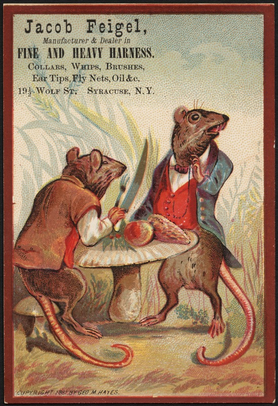 Jacob Feigel. Manufacturer & dealer in fine and heavy harness. Collars, whips, brushes, ear tips, fly nets, oil &c. 19 1/2 Wolf St., Syracuse, N.Y.