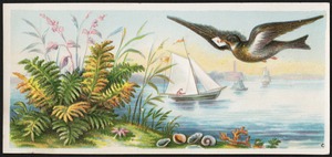 Bird holding a letter in its beak flying over water, plants in the foreground, boats in the background.