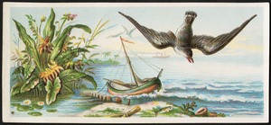 Bird flying over water, plants in the foreground, boats in the background.