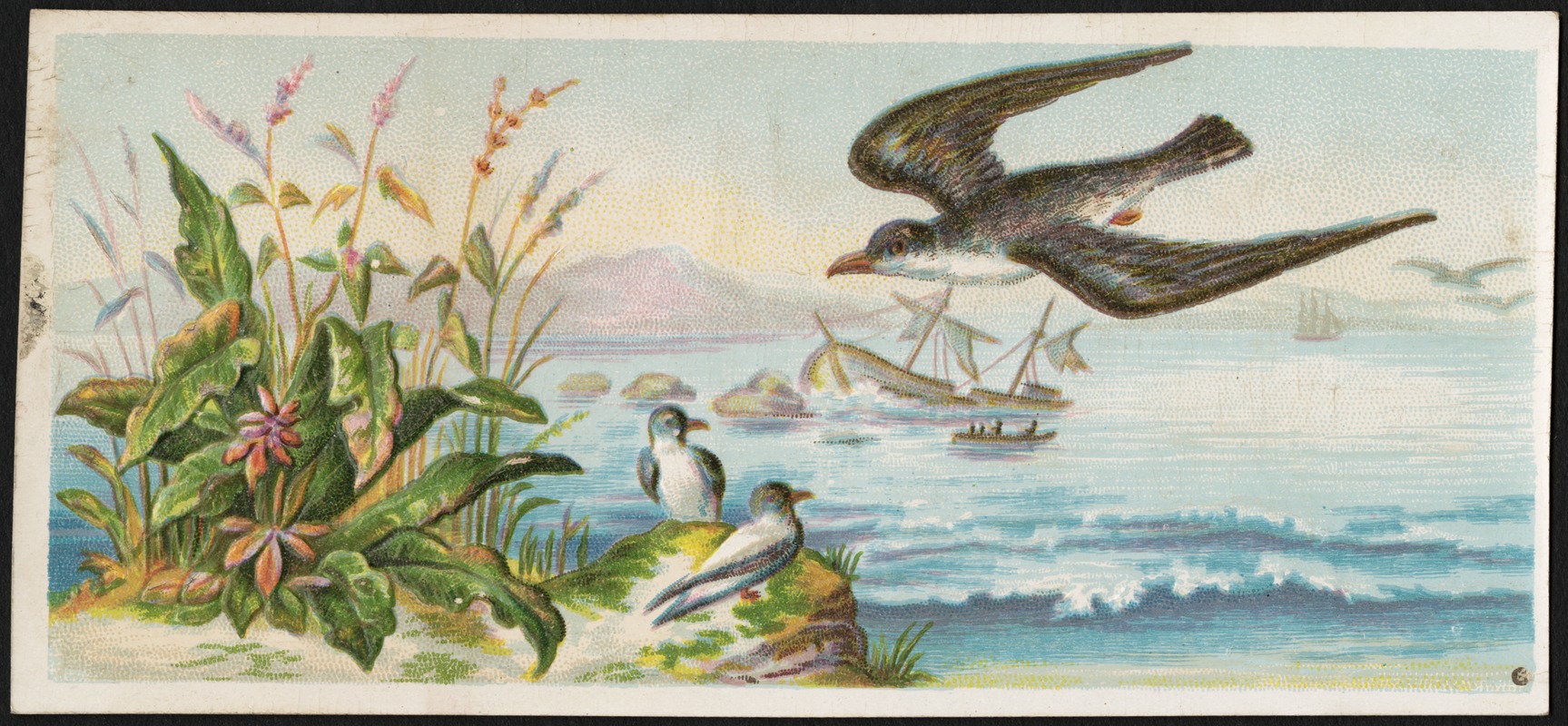 Bird flying over water, plants and sitting bird in the foreground, boats in the background.