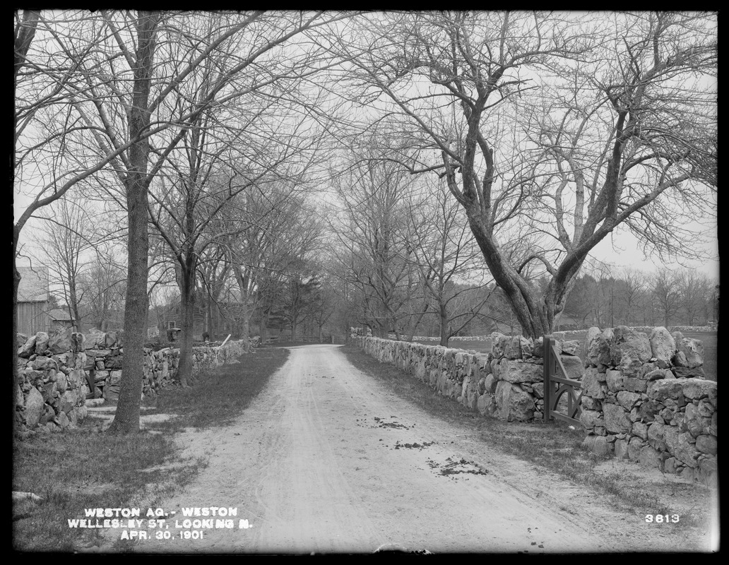 Weston Aqueduct, Wellesley Street, looking northerly, Weston, Mass., Apr. 30, 1901