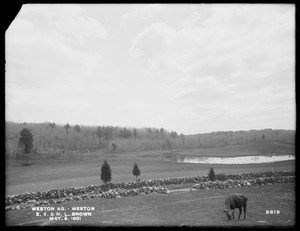 Weston Aqueduct, E. E. and H. L. Brown's pasture, looking southeasterly, Weston, Mass., May 6, 1901