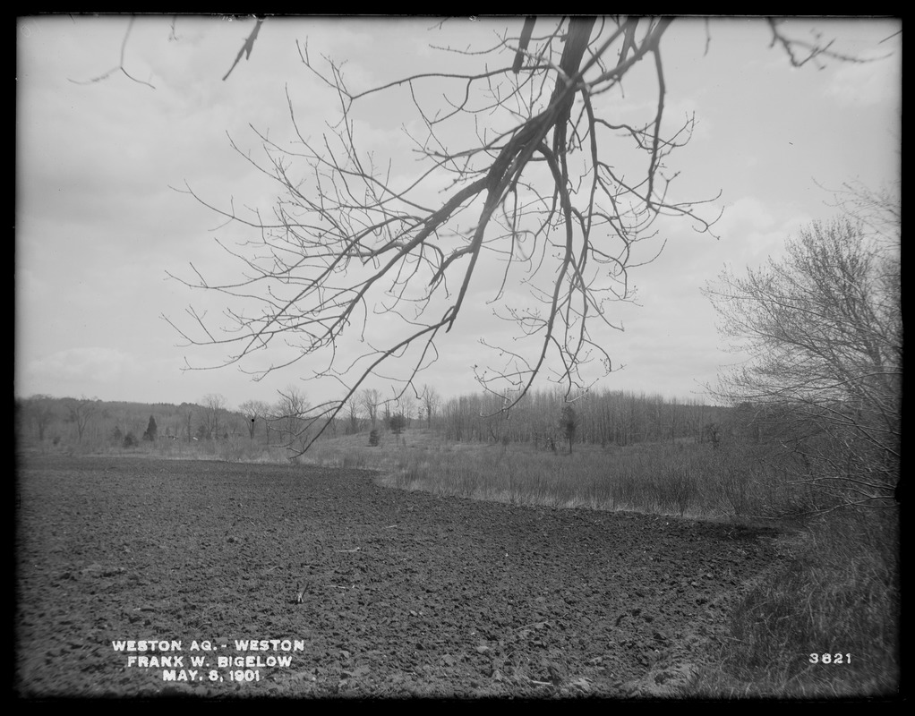 Weston Aqueduct, Frank W. Bigelow's land, looking southeasterly, Weston, Mass., May 6, 1901