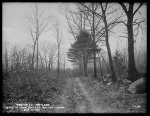 Weston Aqueduct, abandoned road, Walter Reeves and Heirs of John Bullard, looking northwesterly, Wayland, Mass., May 6, 1901