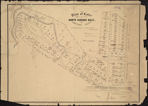 Plan of lots in North Auburn Dale, Newton, Mass