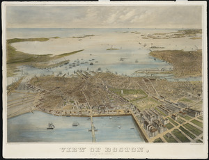 View of Boston, July 4th 1870