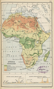 Africa vegetation