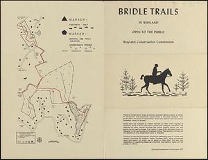 Bridle trails in Wayland