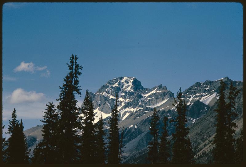 View of mountain past trees, British Columbia