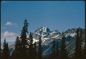 View of mountain past trees, British Columbia
