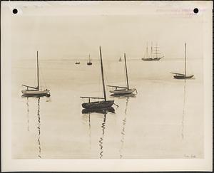 Boats - morning