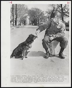 Lonely Duty in Flood Zone -- Pvt. Harvey Nielson, of Atlantic, Ia., and a member of the Iowa National Guard, tempts a left-behind dog with a bit of candy yesterday. Harvey is one of the guards placed around the city to guard property where persons have been moved out in preparation for the oncoming flood.