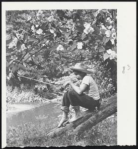 Now That School is out, Paul Stein, 14, of Pittsburgh can give his complete attention to fishing, without being hampered by shoes or schoolbooks.