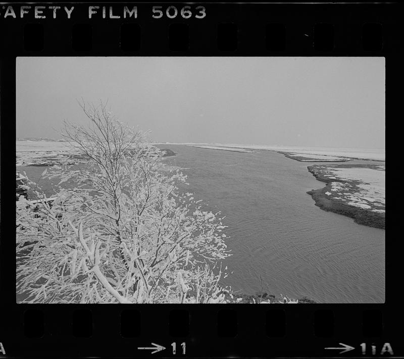 Plum Island winter