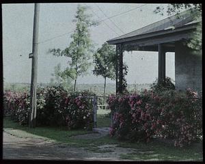 House and fence